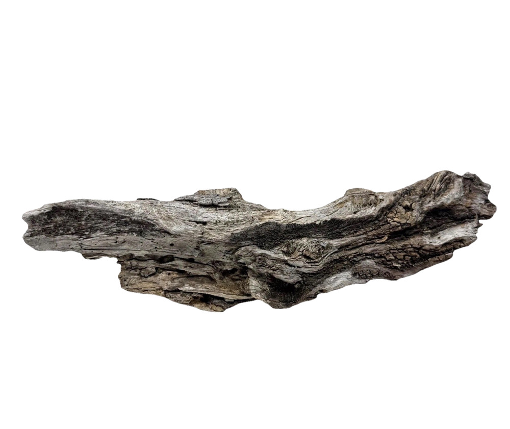 Irregular California Driftwood with Rich Grain & Natural Knots Coastal Wood Art
